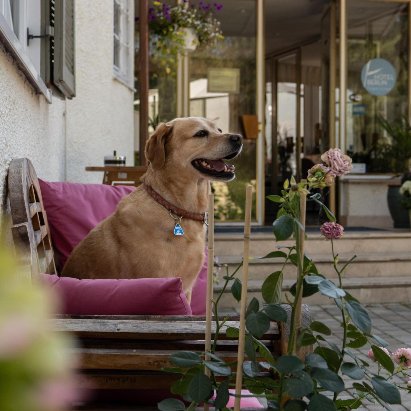Hotel Berlin Tegernsee Rottach-Egern Luaran gambar